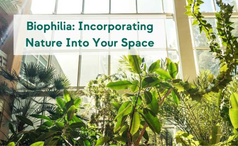 Exploring Biophilic Design: Connecting Spaces with Nature